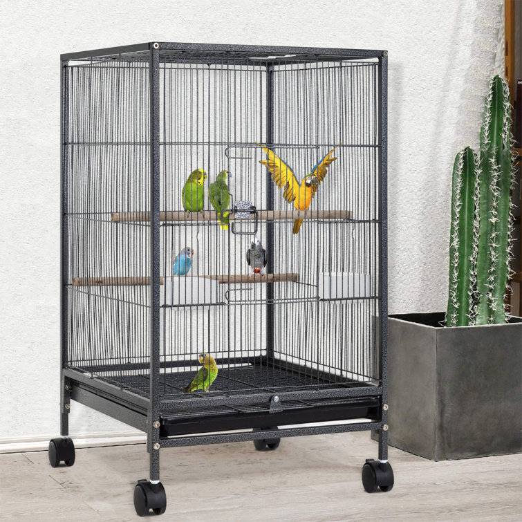 Canary cages with 2024 stands